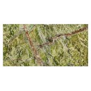 RAINFOREST GREEN CER