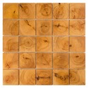 ETN!K CYPRESS CORE 64 64-8