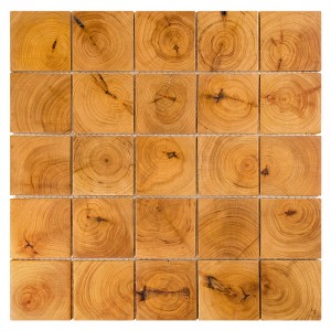 ETN!K CYPRESS CORE 64 64-8